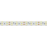 Светодиодная лента Arlight RT-B120-15mm 24V White6000 (28.8 W/m, IP20, 5060, 5m) 011256(2)