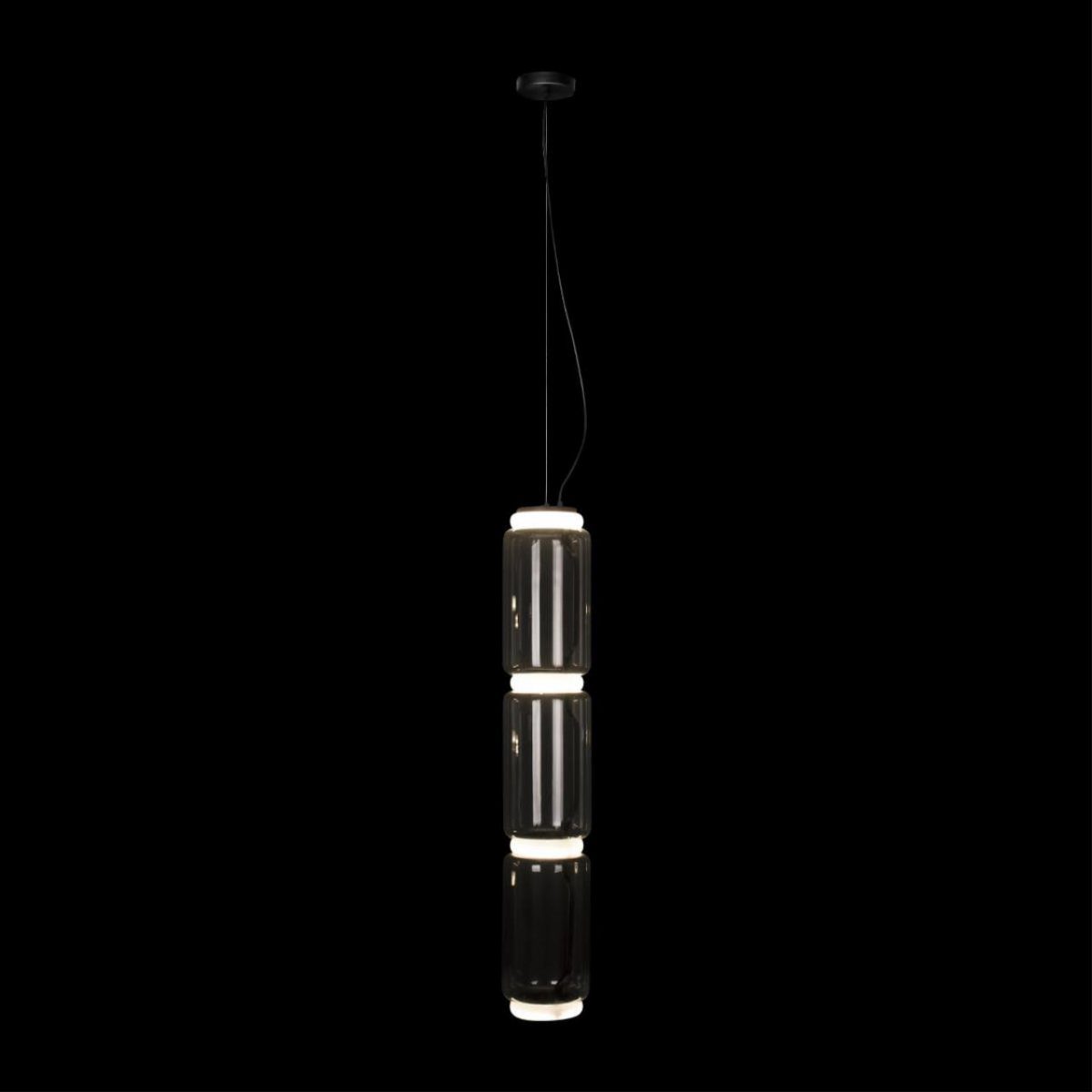 Подвесной светильник Loft IT Noctambule 10194/L Подвесной светильник Loft IT Noctambule 10194/L