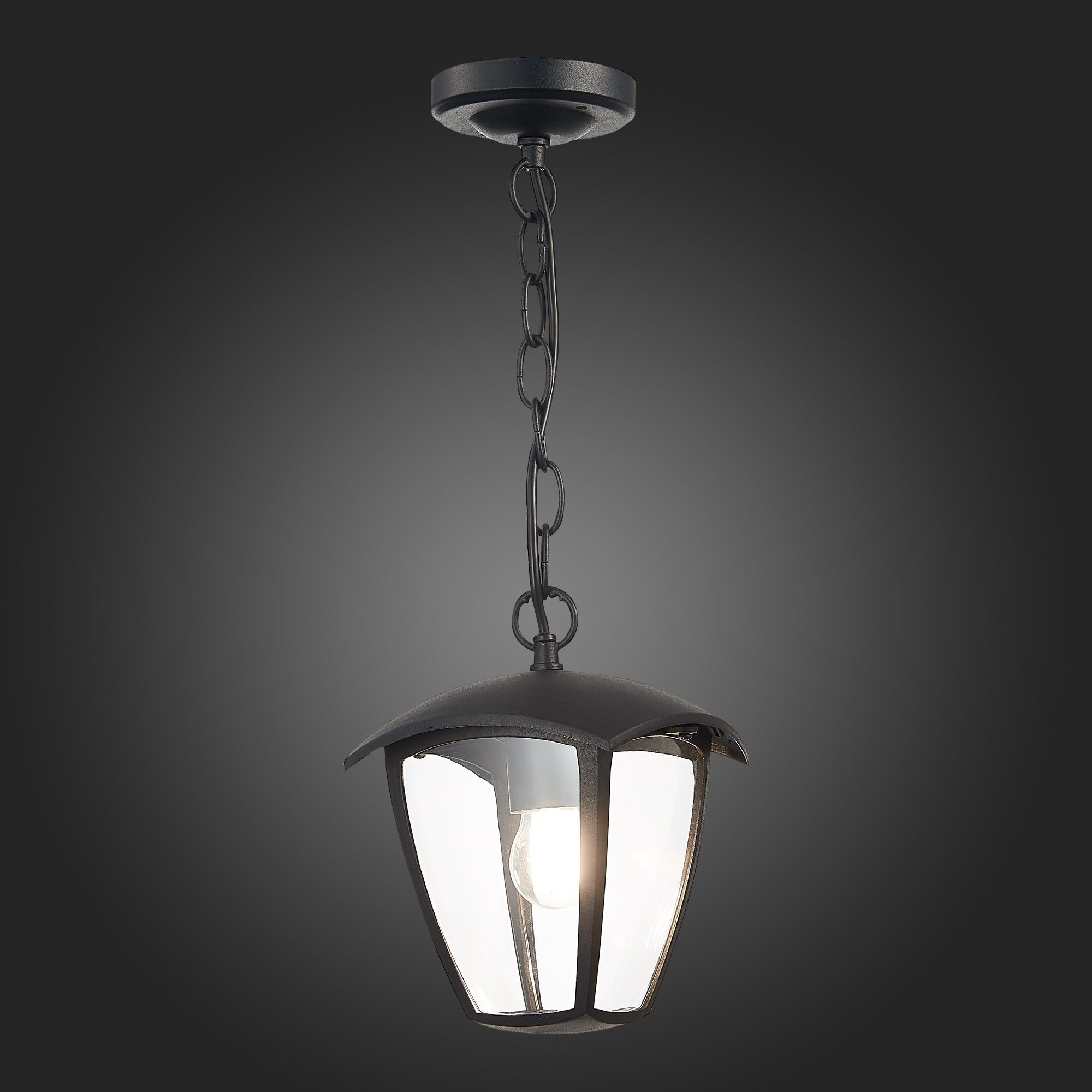 Уличный подвесной светильник ST Luce Sivino SL081.403.01 Уличный подвесной светильник ST Luce Sivino SL081.403.01