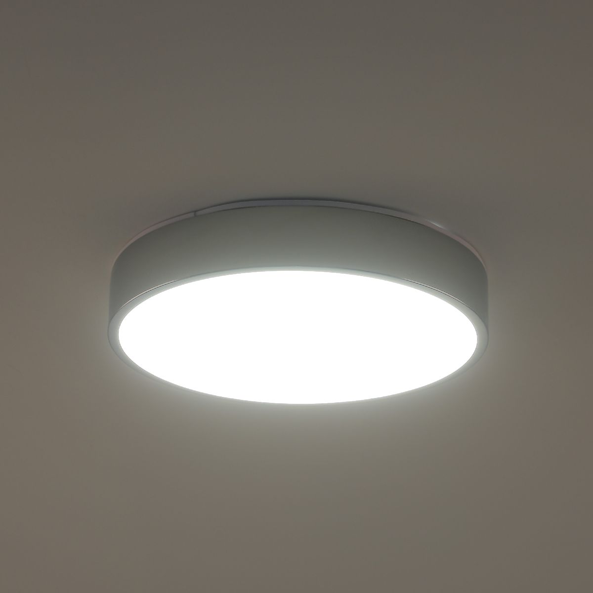 Потолочный светильник Zortes Tortty ZRS.02565.36 Потолочный светильник Zortes Tortty ZRS.02565.36