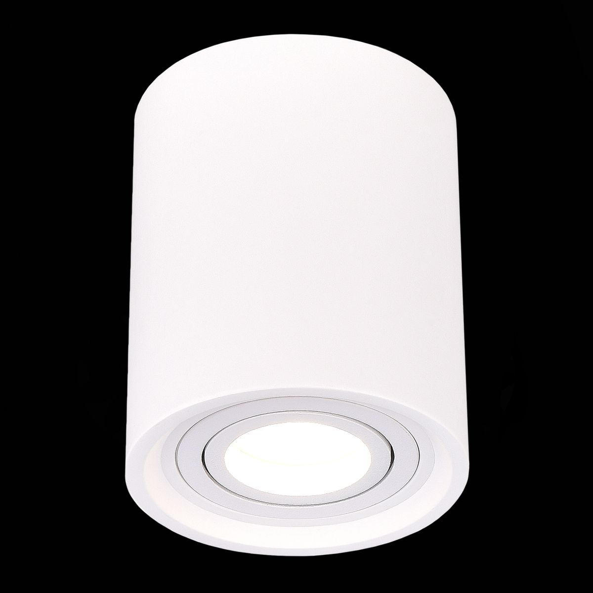 Потолочный светильник ST Luce ST156.502.01 Потолочный светильник ST Luce ST156.502.01
