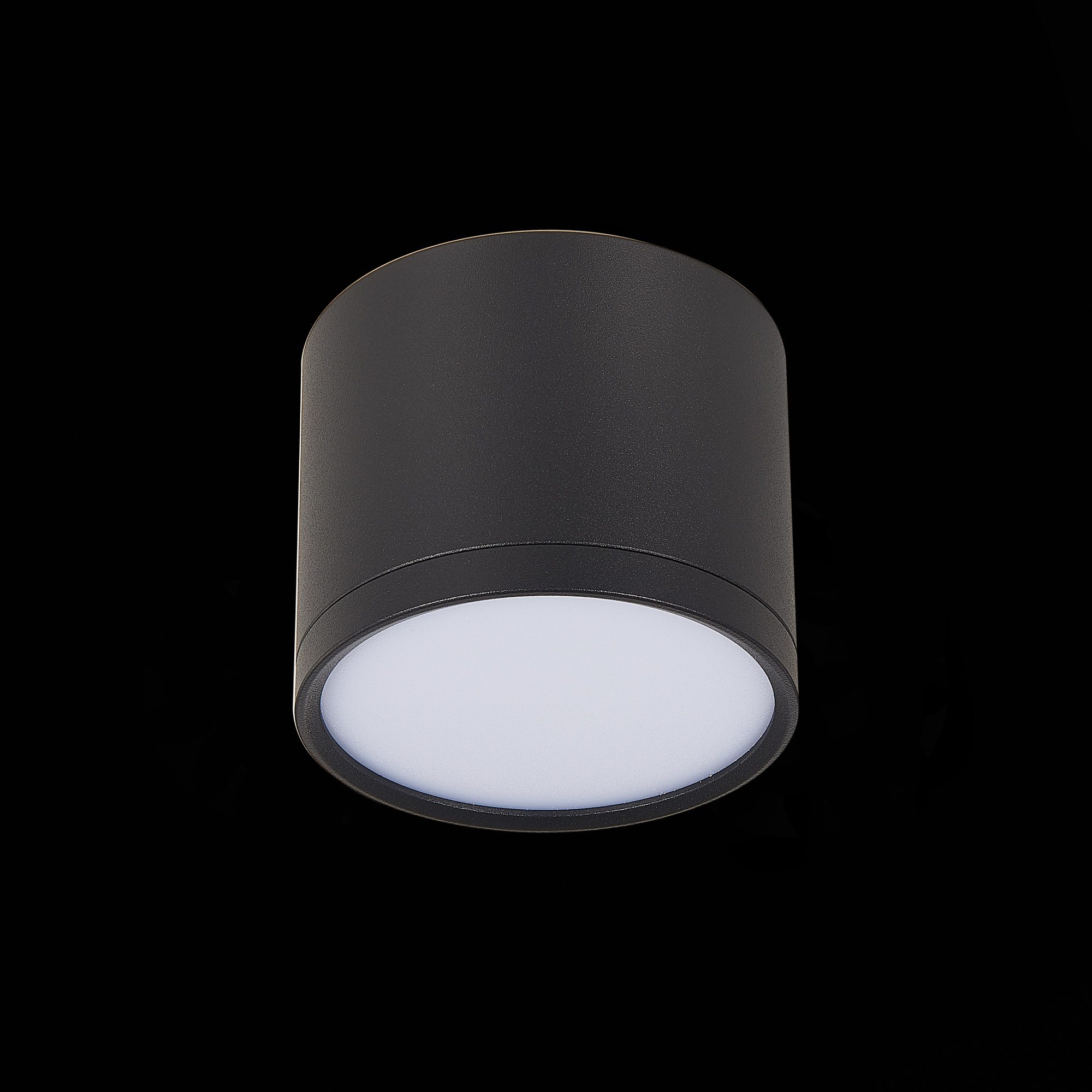 Потолочный светильник ST Luce Rene ST113.442.09 Потолочный светильник ST Luce Rene ST113.442.09