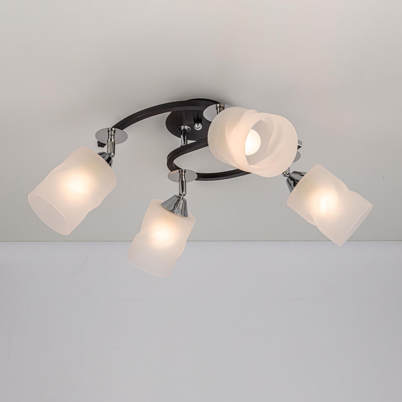 Потолочная люстра Citilux Сиерра CL119241 Потолочная люстра Citilux Сиерра CL119241