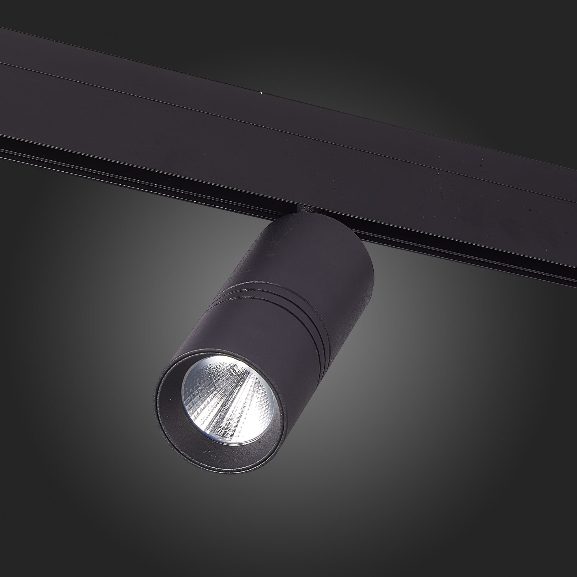 Трековый светильник ST Luce Lemmi ST365.436.18 Трековый светильник ST Luce Lemmi ST365.436.18
