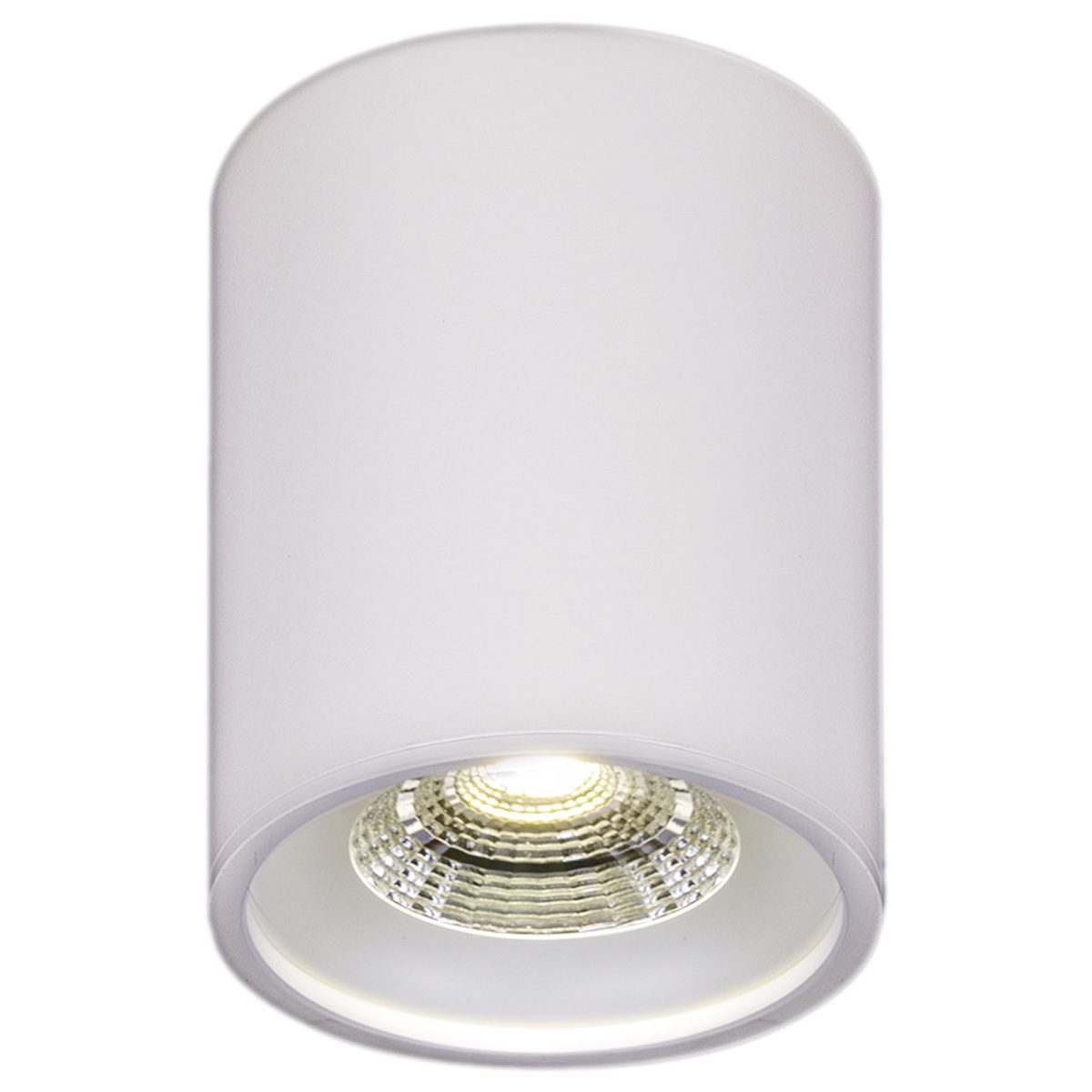Накладной светильник Reluce 81117-9.5-001RT LED10W WT Накладной светильник Reluce 81117-9.5-001RT LED10W WT