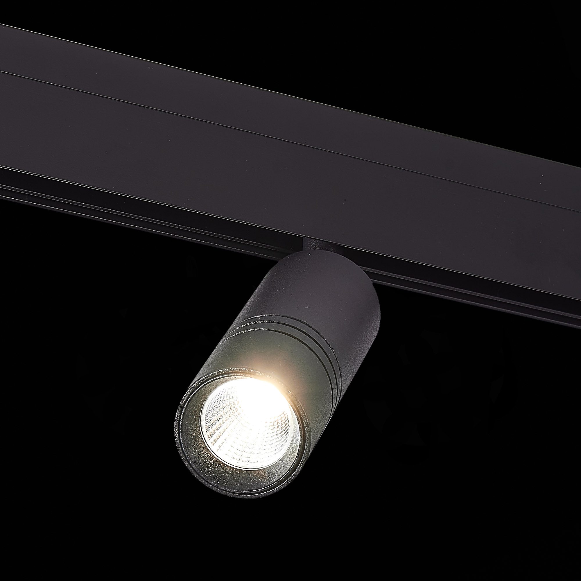 Трековый светильник ST Luce Lemmi ST365.436.12 Трековый светильник ST Luce Lemmi ST365.436.12