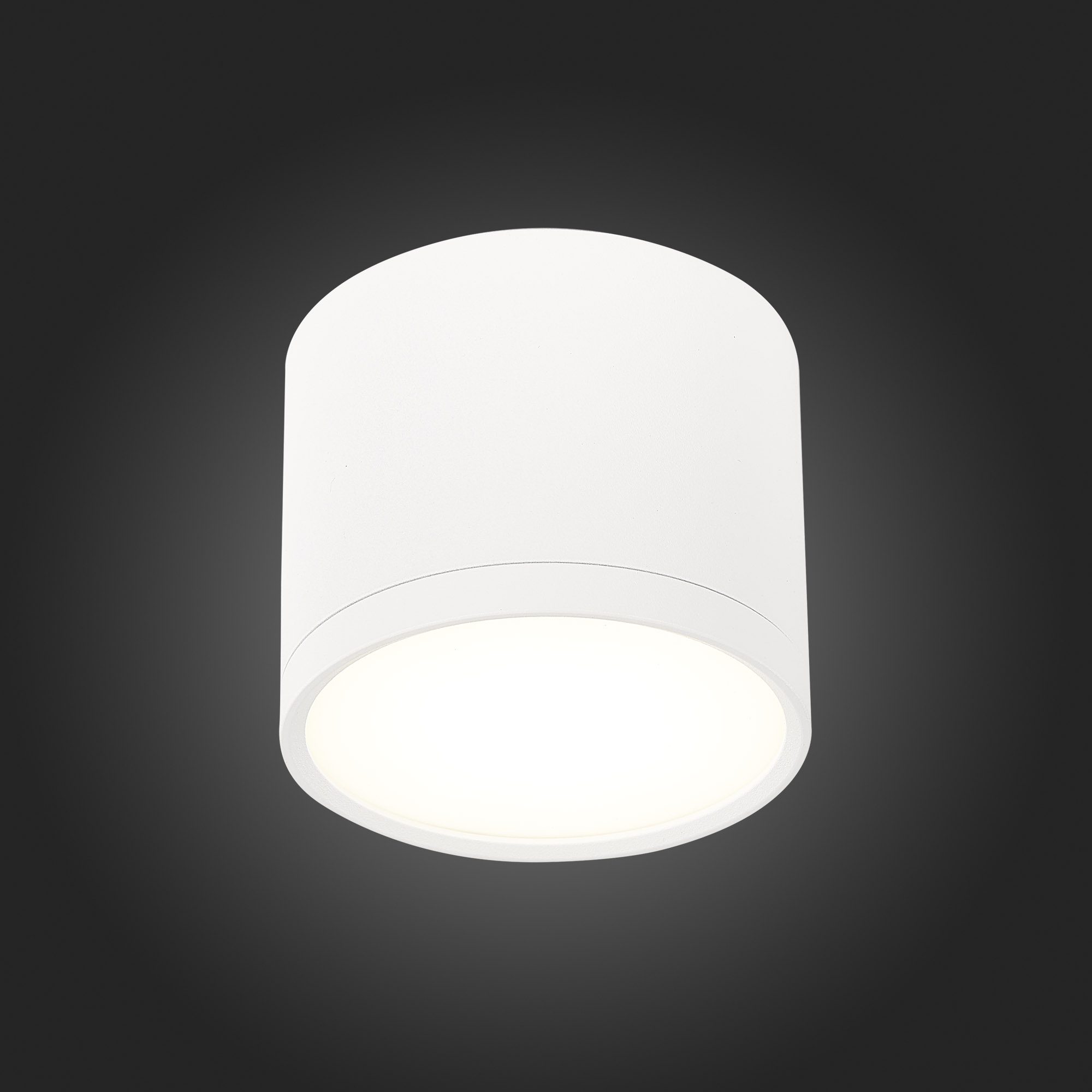 Потолочный светильник ST Luce Rene ST113.542.09 Потолочный светильник ST Luce Rene ST113.542.09