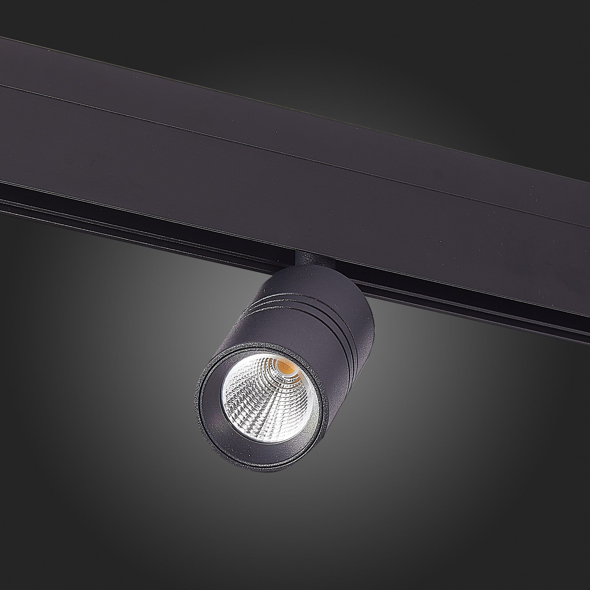 Трековый светильник ST Luce Lemmi ST365.446.07 Трековый светильник ST Luce Lemmi ST365.446.07