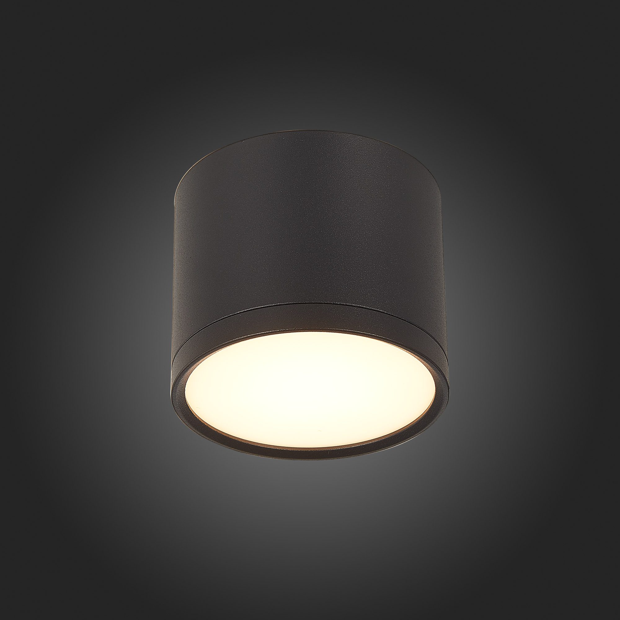 Потолочный светильник ST Luce Rene ST113.432.09 Потолочный светильник ST Luce Rene ST113.432.09