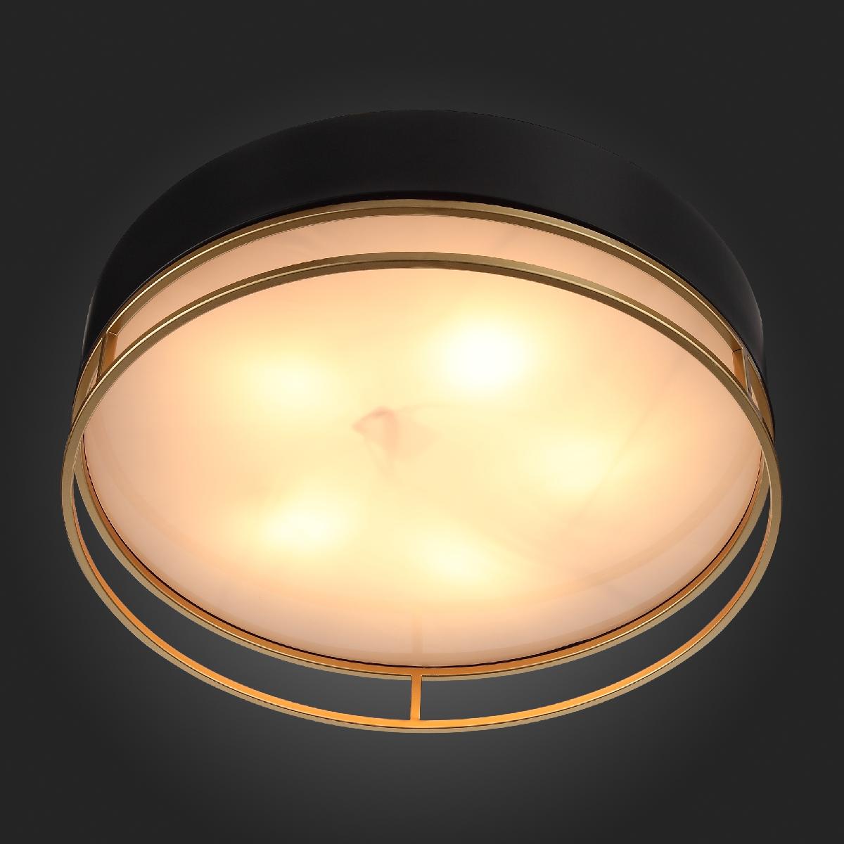 Накладная люстра ST-Luce SL1127.432.05 Накладная люстра ST-Luce SL1127.432.05