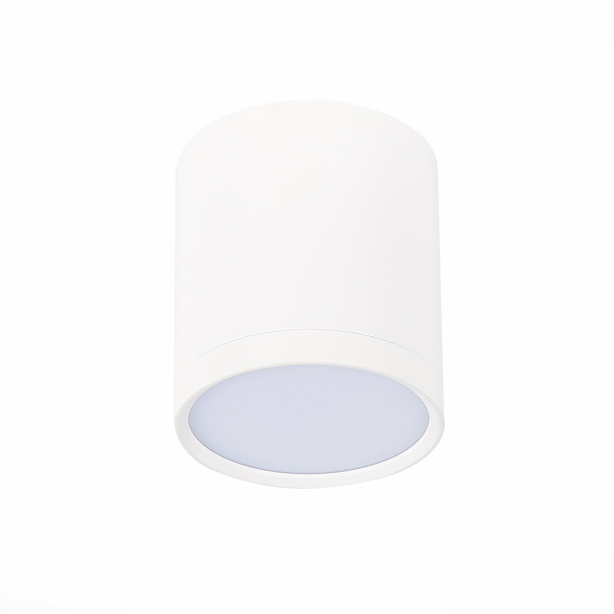Потолочный светильник ST Luce Rene ST113.532.05 Потолочный светильник ST Luce Rene ST113.532.05