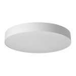 Потолочный светильник Citilux Bart CL755490