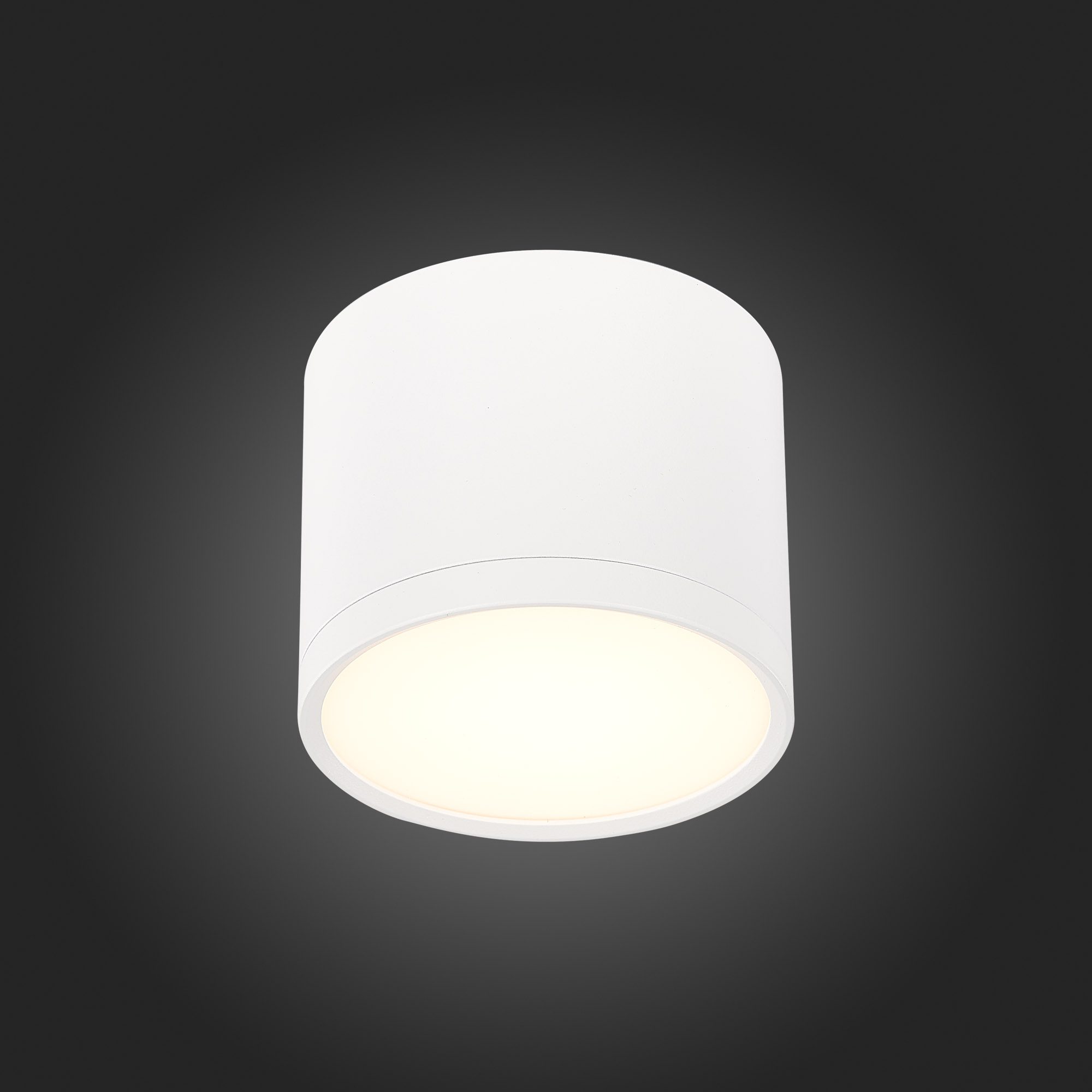 Потолочный светильник ST Luce Rene ST113.532.09 Потолочный светильник ST Luce Rene ST113.532.09