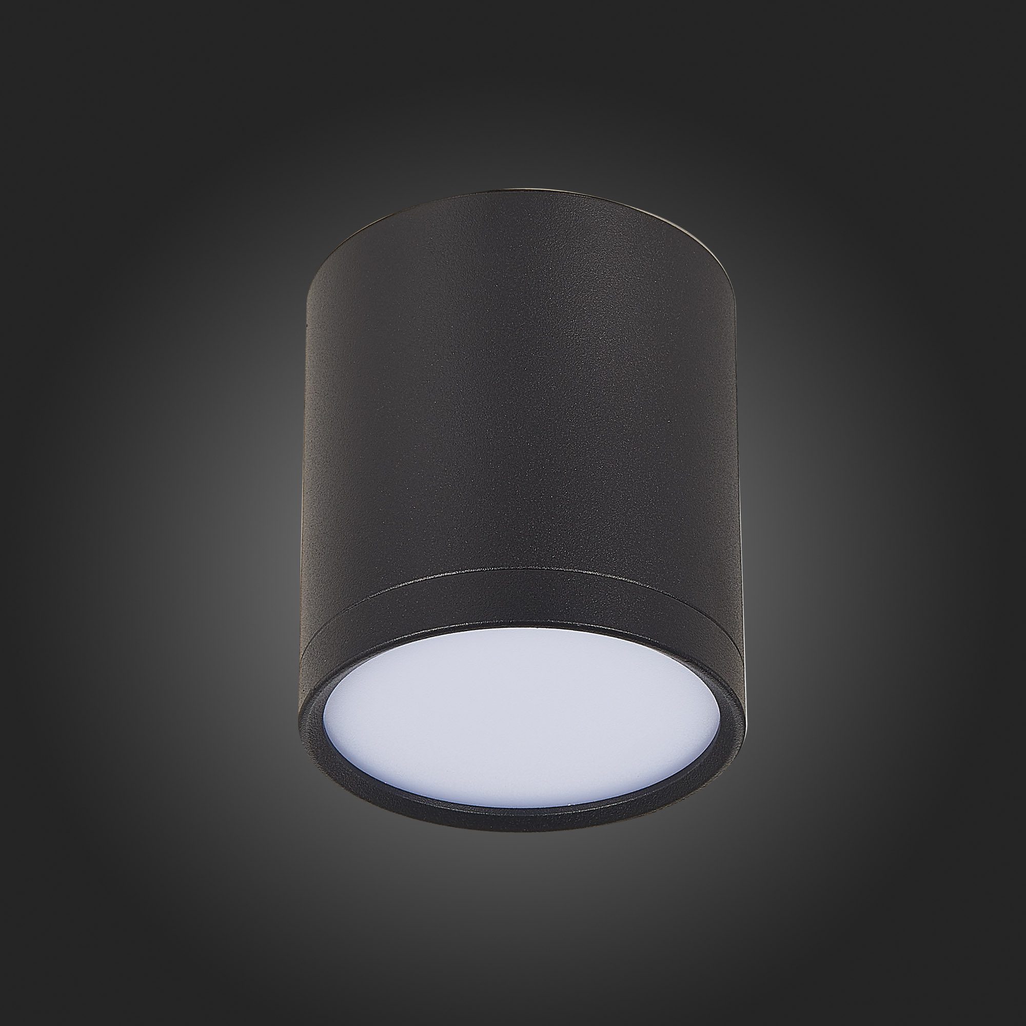 Потолочный светильник ST Luce Rene ST113.442.05 Потолочный светильник ST Luce Rene ST113.442.05