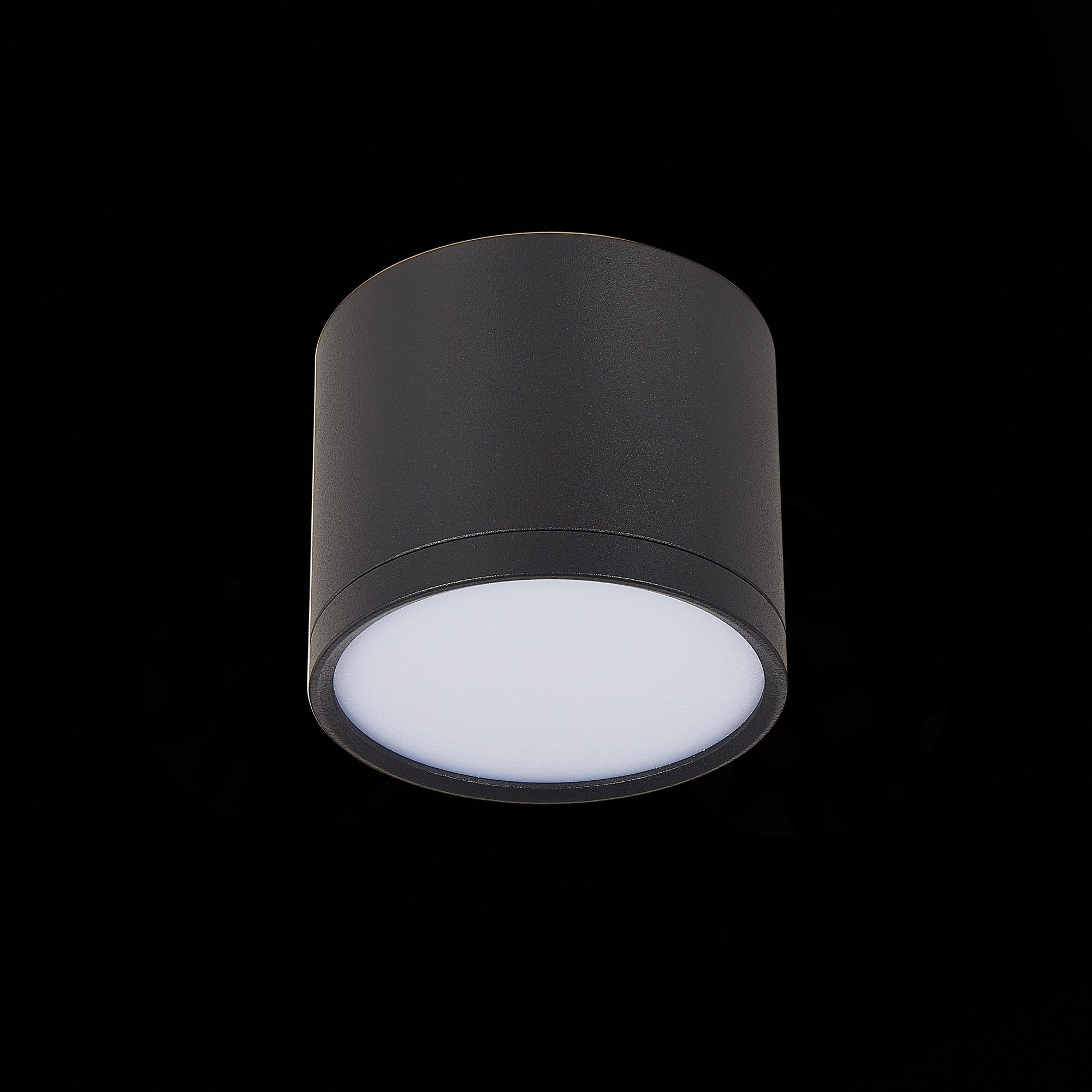 Потолочный светильник ST Luce Rene ST113.432.09 Потолочный светильник ST Luce Rene ST113.432.09