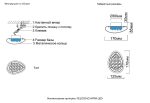 Настенный светильник Crystal Lux FELICIDAD AP9W LED