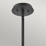 Подвесной светильник Hinkley Lotus QN-LOTUS-P-BLK