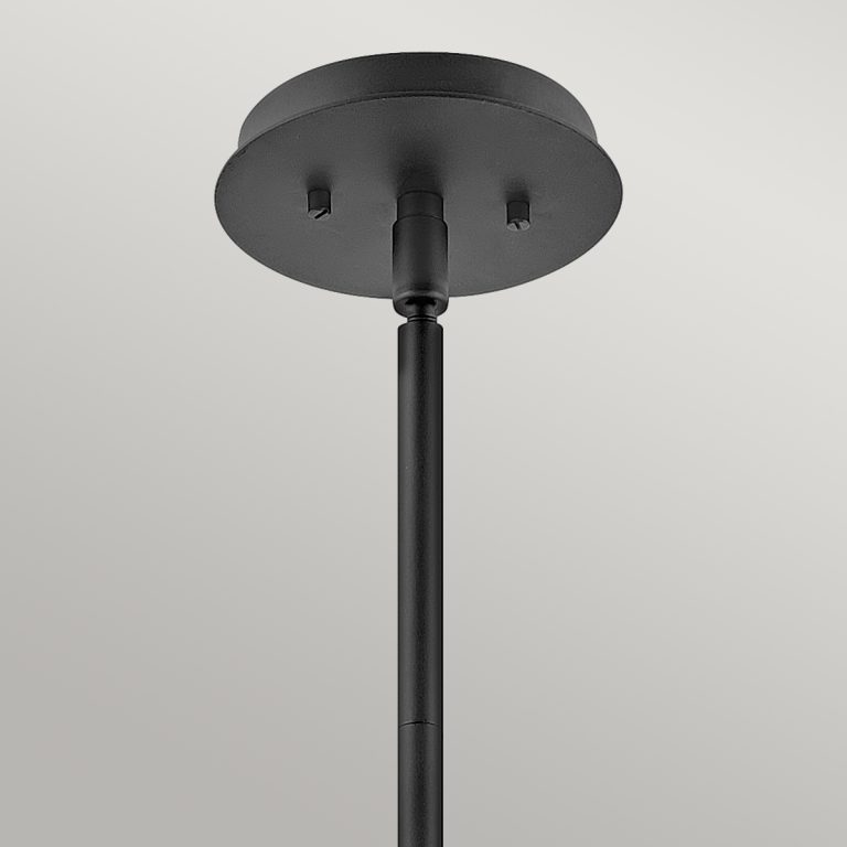 Подвесной светильник Hinkley Lotus QN-LOTUS-P-BLK