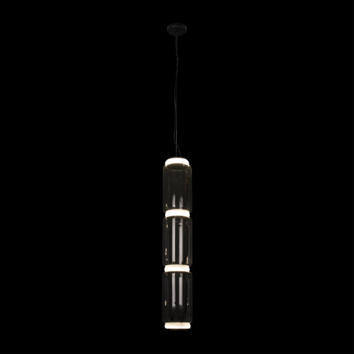 Подвесной светильник Loft IT Noctambule 10194/L Подвесной светильник Loft IT Noctambule 10194/L