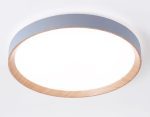 Потолочный светильник Ambrella Light Orbital Design FZ1322