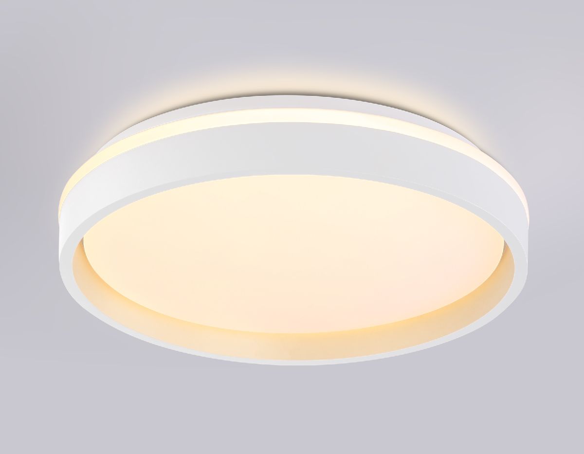 Потолочный светильник Ambrella Light Orbital Dance FZ601 Потолочный светильник Ambrella Light Orbital Dance FZ601