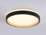 Потолочный светильник Ambrella Light Orbital Dance FZ604