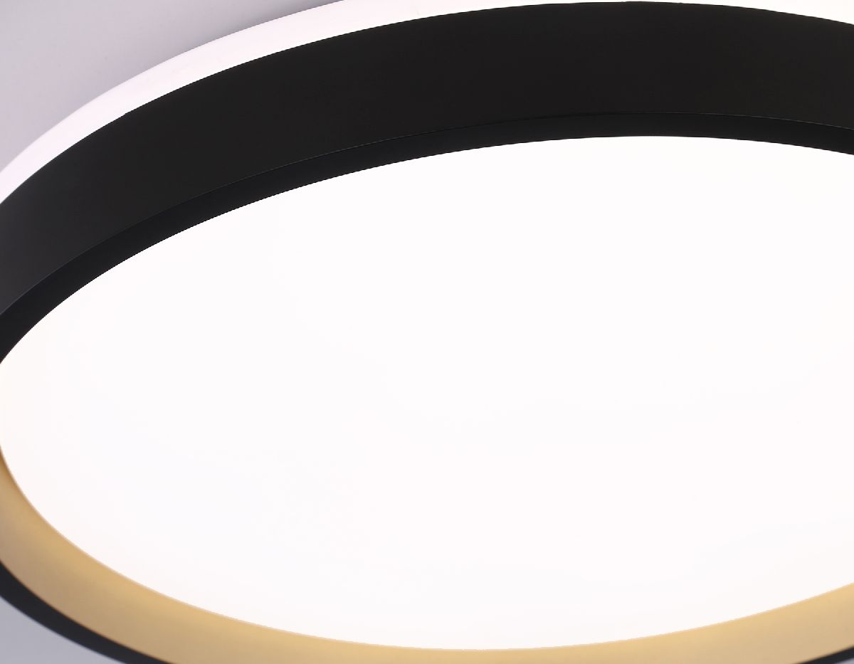 Потолочный светильник Ambrella Light Orbital Dance FZ610 Потолочный светильник Ambrella Light Orbital Dance FZ610