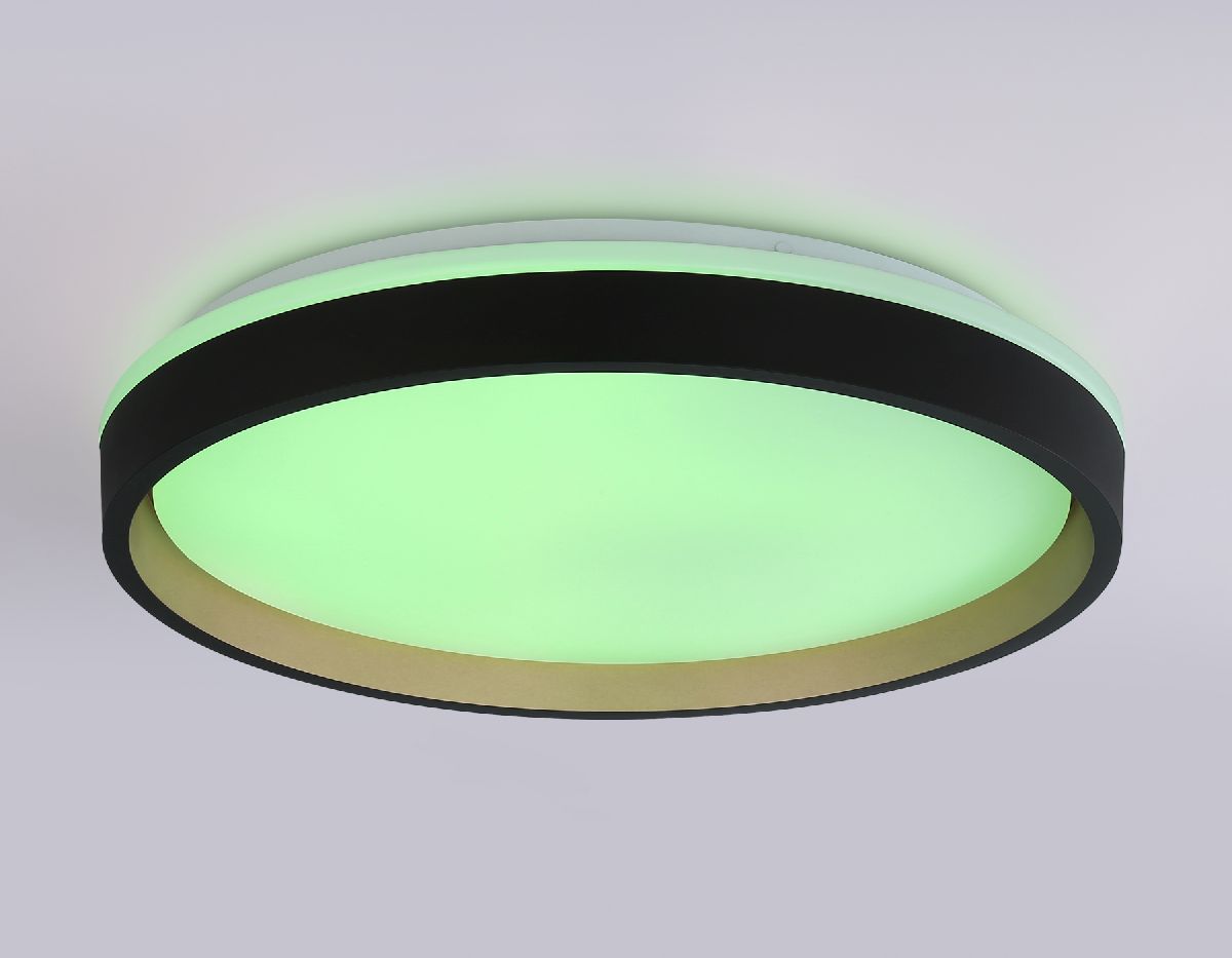 Потолочный светильник Ambrella Light Orbital Dance FZ610 Потолочный светильник Ambrella Light Orbital Dance FZ610