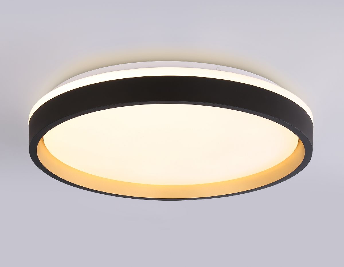 Потолочный светильник Ambrella Light Orbital Dance FZ610 Потолочный светильник Ambrella Light Orbital Dance FZ610