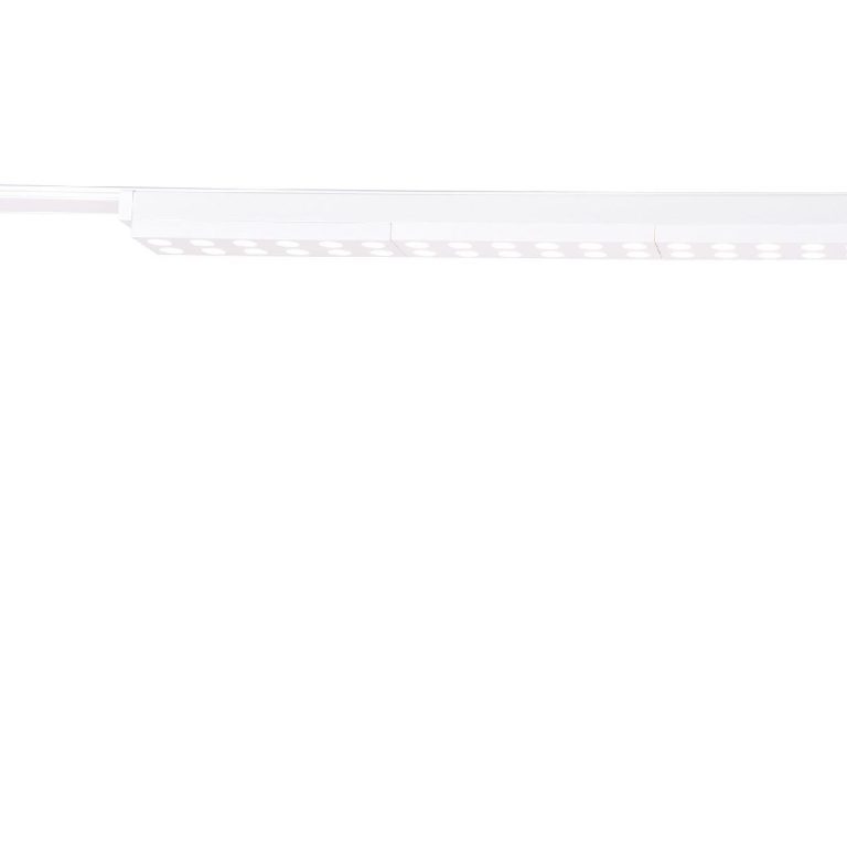Трековый магнитный светильник Favourite Unica 4140-2C