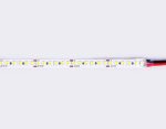 Светодиодная лента Ambrella Light Led Strip 12V Illumination 2835 14,4Вт/м 6500K 5м IP20 GS1313