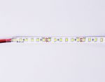 Светодиодная лента Ambrella Light LED Strip 24В 2835 10Вт/м 3000K 5м IP20 GS3101