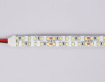 Светодиодная лента двухрядная Ambrella Light LED Strip 24В 2835 24Вт/м 3000K 5м IP20 GS3701