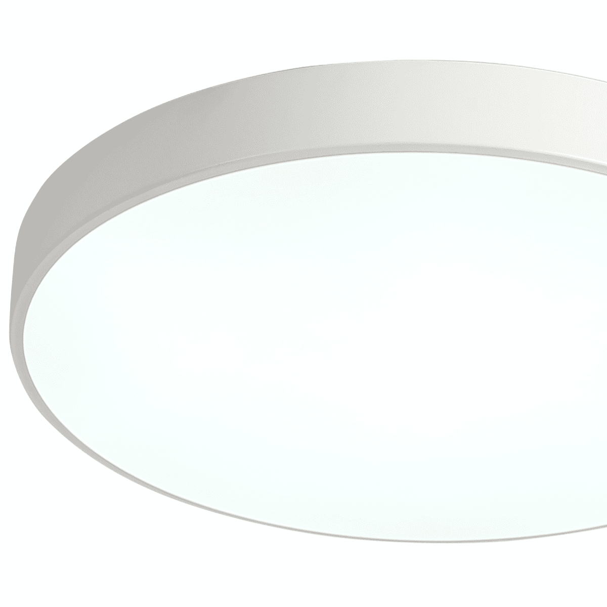 Потолочный светильник Zortes Tortty ZRS.02564.96 Потолочный светильник Zortes Tortty ZRS.02564.96