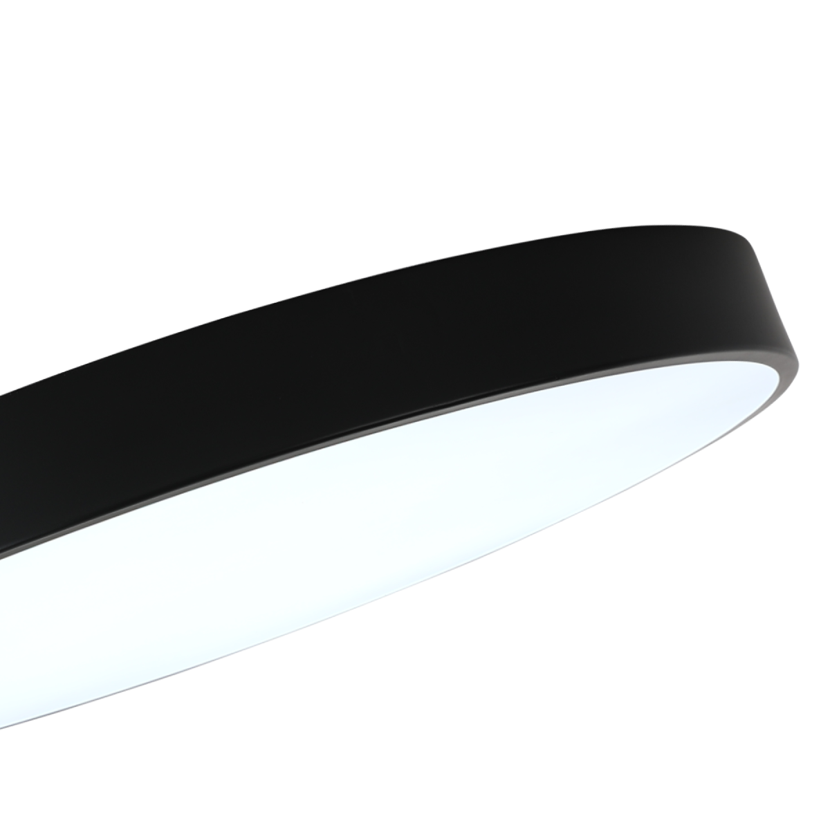 Потолочный светильник Zortes Tortty ZRS.02563.96 Потолочный светильник Zortes Tortty ZRS.02563.96
