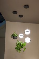 Подвесной светильник ImperiumLoft Palma 99818-22