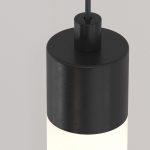 Подвесной светодиодный светильник Maytoni Technical Ray P022PL-L20B3K