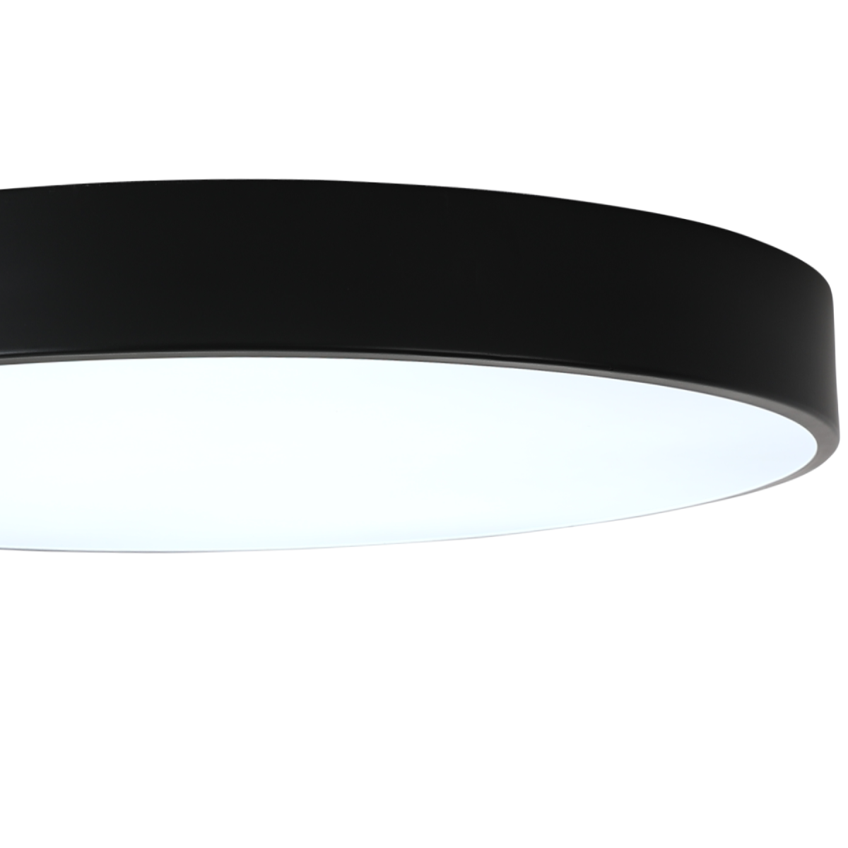 Потолочный светильник Zortes Tortty ZRS.02563.96 Потолочный светильник Zortes Tortty ZRS.02563.96