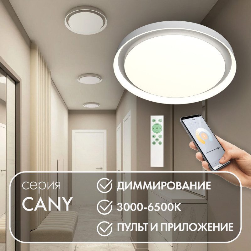 Потолочный светильник Denkirs Cany DK6516-WH Потолочный светильник Denkirs Cany DK6516-WH