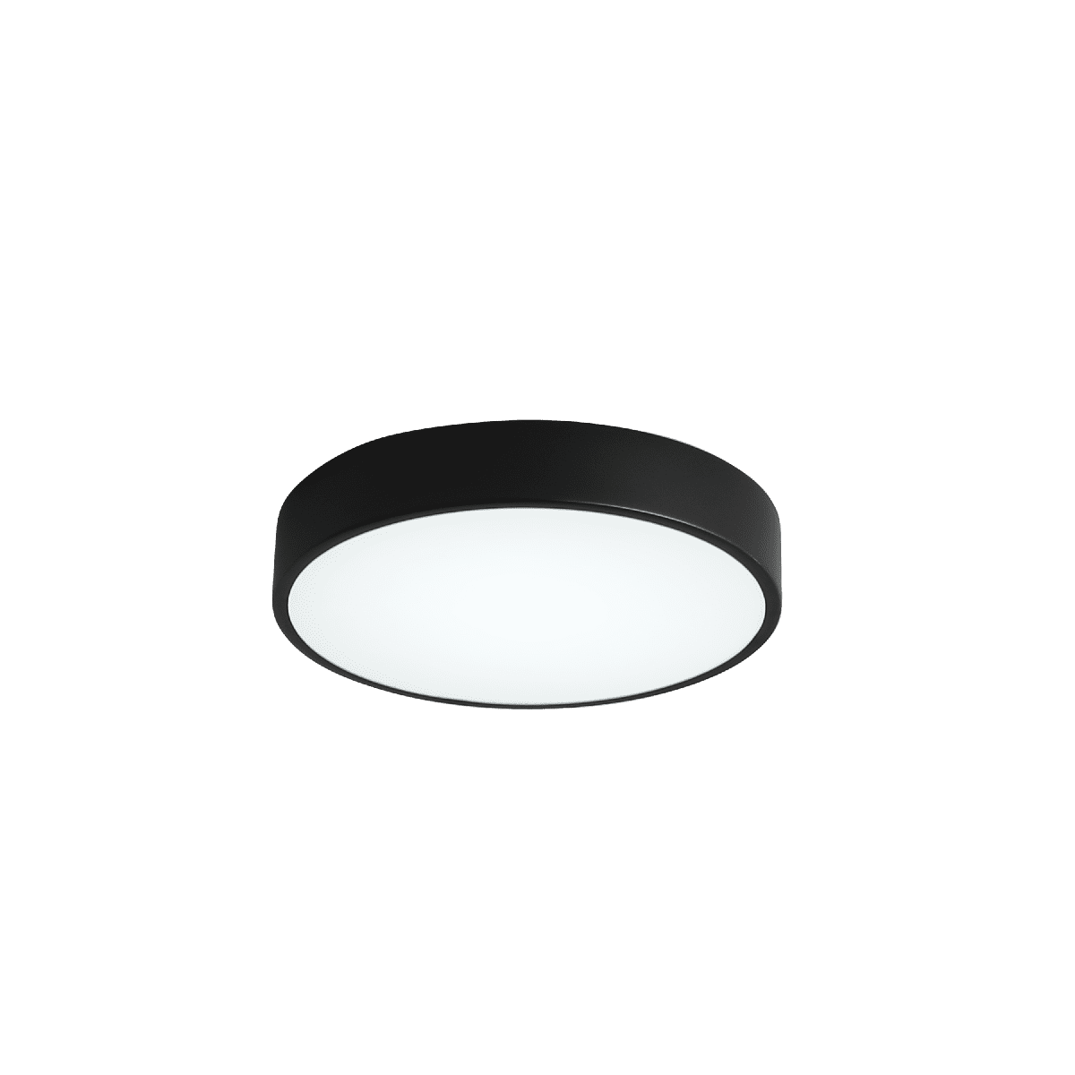 Потолочный светильник Zortes Tortty ZRS.02563.48 Потолочный светильник Zortes Tortty ZRS.02563.48