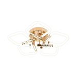 Потолочная люстра Escada Lacerta 10265/5LED