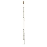 Подвесная люстра Indigo Corda 14010/2P Brass V000063L