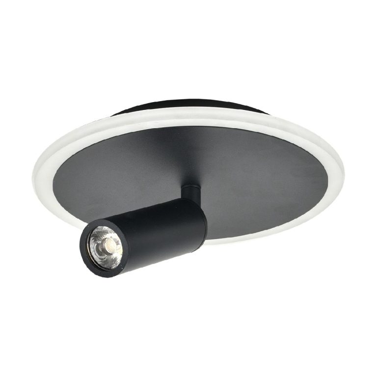 Настенно-потолочный светильник Escada 20046SMA/01LED BK