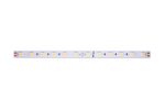 Светодиодная лента DesignLed DSG560-24-WW-33 000521