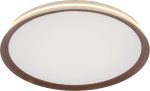 Потолочный светильник Mizi'en Titan MZ31502-430