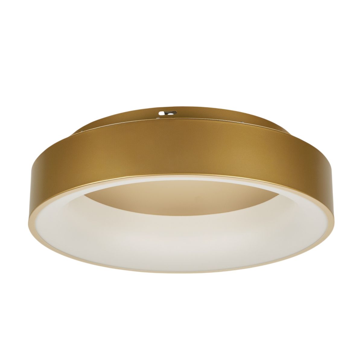 Потолочный светильник Myfar Shannon MR2195-1PL Потолочный светильник Myfar Shannon MR2195-1PL