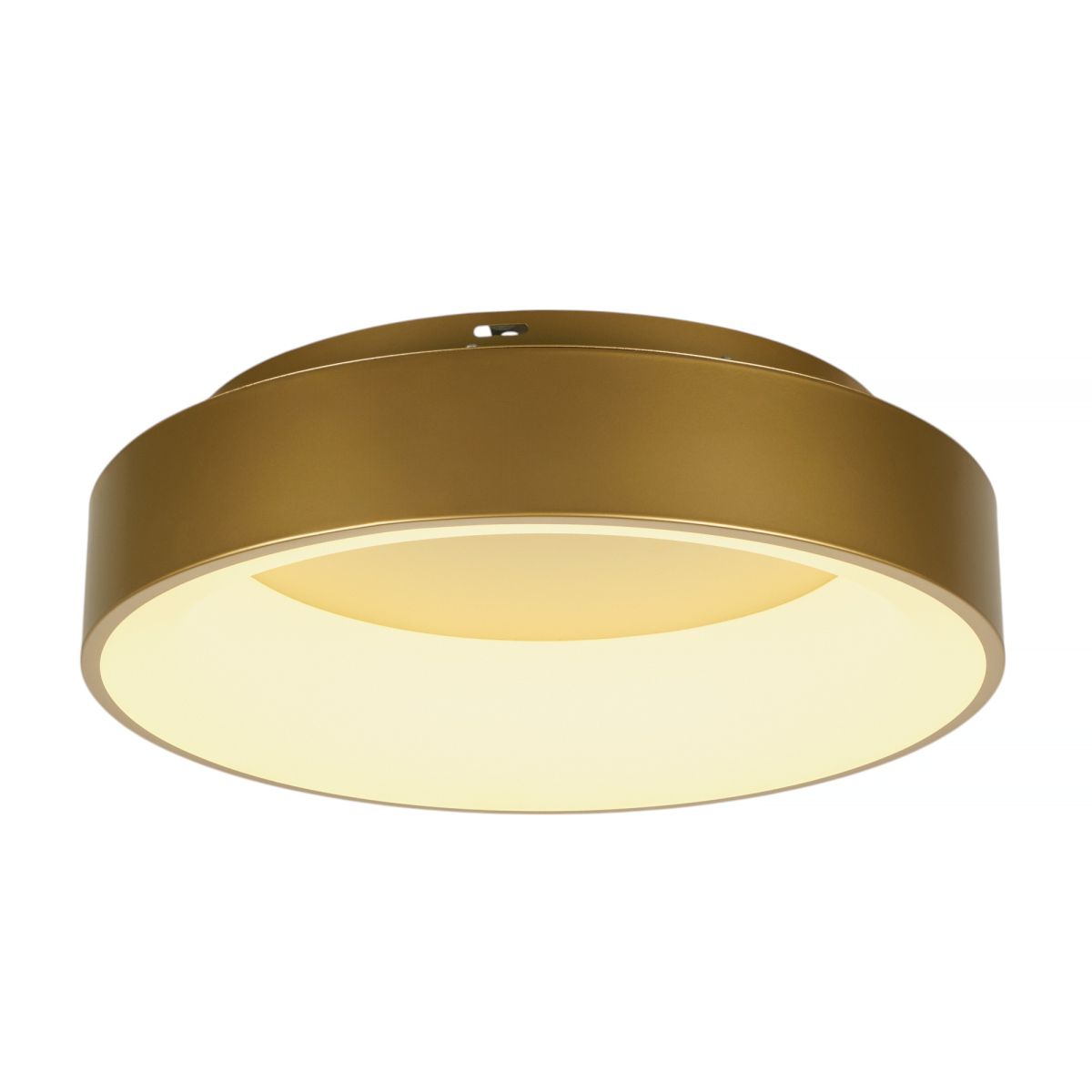 Потолочный светильник Myfar Shannon MR2195-1PL Потолочный светильник Myfar Shannon MR2195-1PL