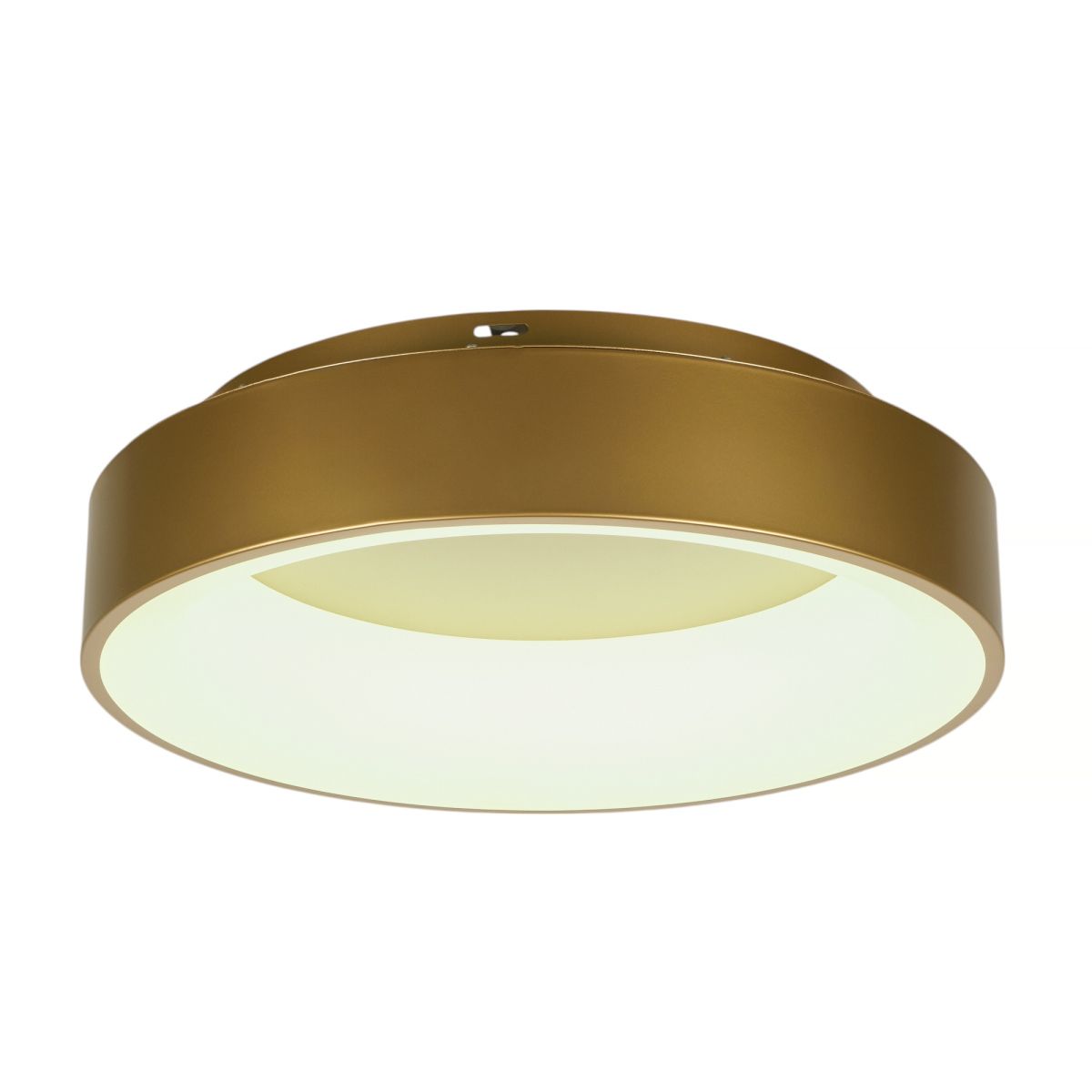 Потолочный светильник Myfar Shannon MR2195-1PL Потолочный светильник Myfar Shannon MR2195-1PL