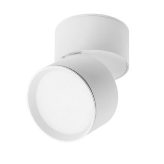 Накладной спот Lightstar Acuto 215836