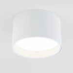 Накладной светильник Elektrostandard Banti 4690389183980